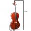 Hot sale cheap price Brazil wood cello bowTL-1012C The Colored Prices Wholesale Fiberglass Hard Cello Case For Sale