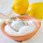 powerful citric acid monohydrate supplier