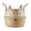 Eyelash Seagrass Belly Basket, Nook Storage, Planter Pot, Best Seller Woven Plant Holder Wholesale