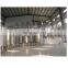 inulin topinambur fructose plant for sale