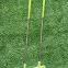 Green Mini Golf Rubber putters
