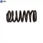 Mercedes-Benz valve spring OM457 OM460 OM501 OM502 engine parts A4570530320 original factory
