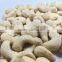 Dried Raw Cashew Nuts W320 W240 W450