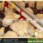 Modern BIRDSITTER poultry raising broiler automatic chicken feeding system