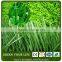 Chinese Factory Soccer Grass Carpet Decorative Artificial Grass for Football