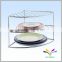 Eco-friendly metal fruit and vegetable powder display shelf for kitchen and garment