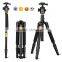 Q666 62'' 15KG Load Fluid Ball Head Digital DSLR Video Camera Monopod 13'' Fold Portable Aluminum Photo Professional Tripod                        
                                                Quality Choice
                            