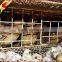 Large Scale Wire Mesh Quail Cages Made In China For Sale On 