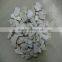 Factory price for plastic raw material