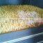 2015 HOT Automatic bean sprouts machine, mung bean sprouts making machine