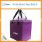 Cheap promotional nonwoven picnic can bottle cooler bag                        
                                                                                Supplier's Choice