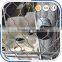 High strength customized stainless steel animal enclosure zoo mesh