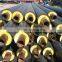 high density polyurethane insulated pipeline