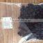 We are supply FD Frozen Dried Blueberry with good Quality
