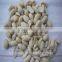 Supply Chinese Blanched Peanut Kernels Long for Sales