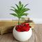 Customized Artificial Succulent Mini Potted Succulent Plants Wholesale