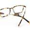 Stainless Steel Eyewear Frame Glasses