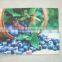 30x45cm Customized Valentine's Day Quilted Fruit Photo Printing Placemat or Table Mat