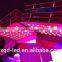 led grow light HOT SALE grow led lights 2016 with XQD