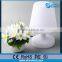 home decorative led craft lamp,battery operated color led table lamp white plastic