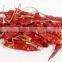 BEST RATE RED CHILI EXPORTER