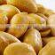 IOPEPC Certification and Raw Processing Type Ground nut