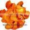 Dried Carrot Chips