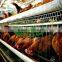 Kenya Poultry Farm Poultry Battery Cages