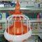 automatic auger poultry broiler feeding system