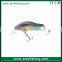 Wholesale fishing hard baits shad bait