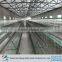 high quality bird chicken layer cage