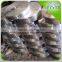 plate sprocket wheel