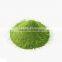 Manufacturer Supply Best Matcha Extract Powder