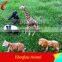 Artificial Fiberglass Outdoor Playground Giraffe Statue