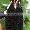 Hotbeauty High quality Funmi Double drawn hair 8-22" small pissy