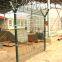 Fencing systems for energy/security nut/airport fence /prison barbed wire fence with razor barbed wire