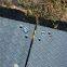wear resisting UHMW-PE construction road mat