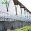 Multispan Tunnel Greenhouse for strawberry grape raspberry&Agricultural Greenhouse