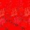 korea colourful flat embroidery lace fabric