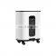 Factory Manufacture Various Medical Equipment Portable 3l Oxygen Concentrator