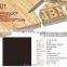 vinyl floor tile Super black full body polished porcelain tile