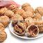 Vietnam Walnuts/High Quality Dried Walnuts For Wholesales From Vietnam