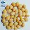 Top Quality Haccp Certified Frozen Ginkgo Nut IQF Ginkgo Nut