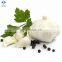 High Quality Fresh Pure White Garlic