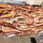 frozen west africa squid ghana squid good price