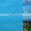 hot blue print film