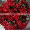 Various crazy selling products for 2015 carnation flower