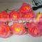 lighted pink rose new product