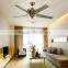 indoor electric ceiling fans with lights