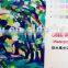 Glossy Waterproof Polyester Canvas 260gsm 600D*300D Digital Printing